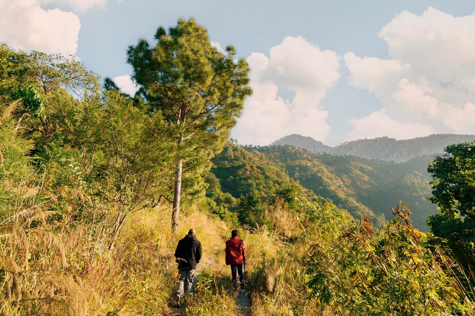 Willowdale-202453-1-2